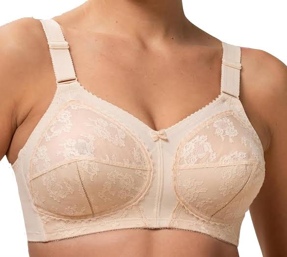 💖 Pack of 2 Triumph Doreen Bra | Upto 60% Off(Free Hook Extender Gift)