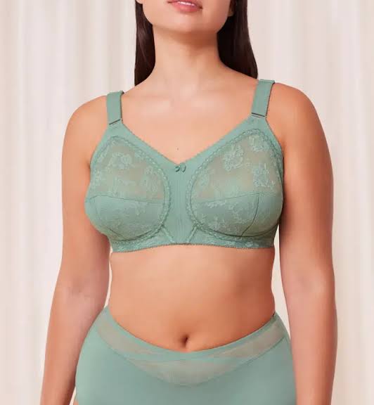 💖 Pack of 2 Triumph Doreen Bra | Upto 60% Off(Free Hook Extender Gift)