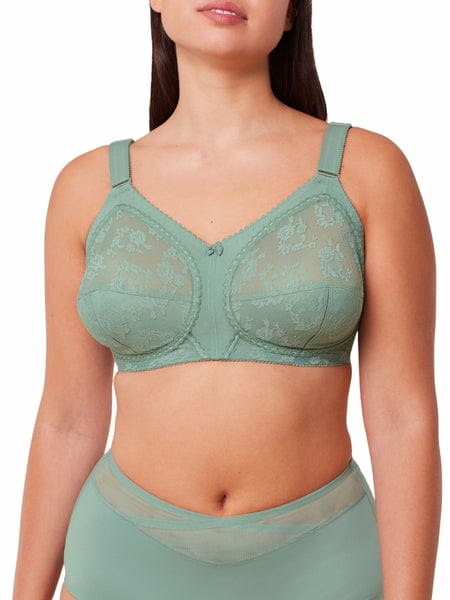 💖 Pack of 2 Triumph Doreen Bra | Upto 60% Off(Free Hook Extender Gift)