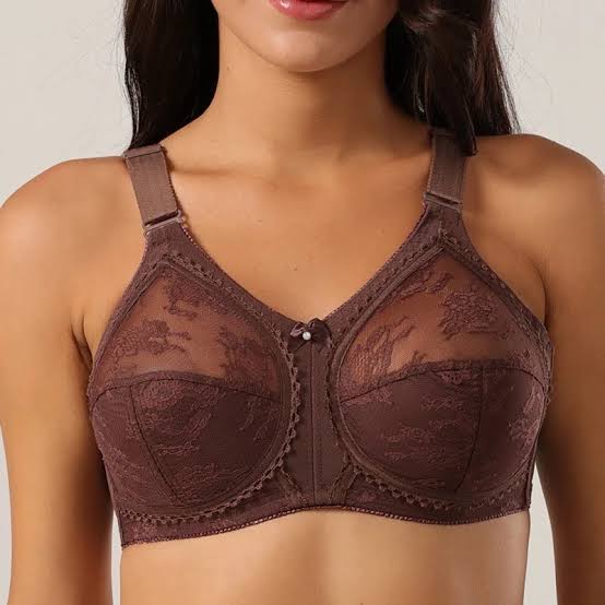 💖 Pack of 2 Triumph Doreen Bra | Upto 60% Off(Free Hook Extender Gift)